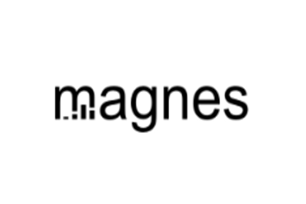 magnes logo